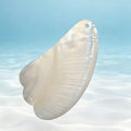 Natural Shell Guasha Board — Hand-Carved Facial Lifting & Sculpting Tool